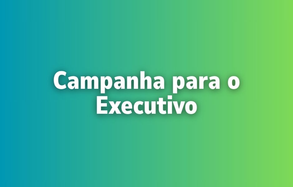 Curso 8